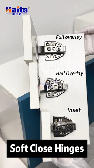 Furniture Soft Close 3D Cabinet Door Hinges Bisagra